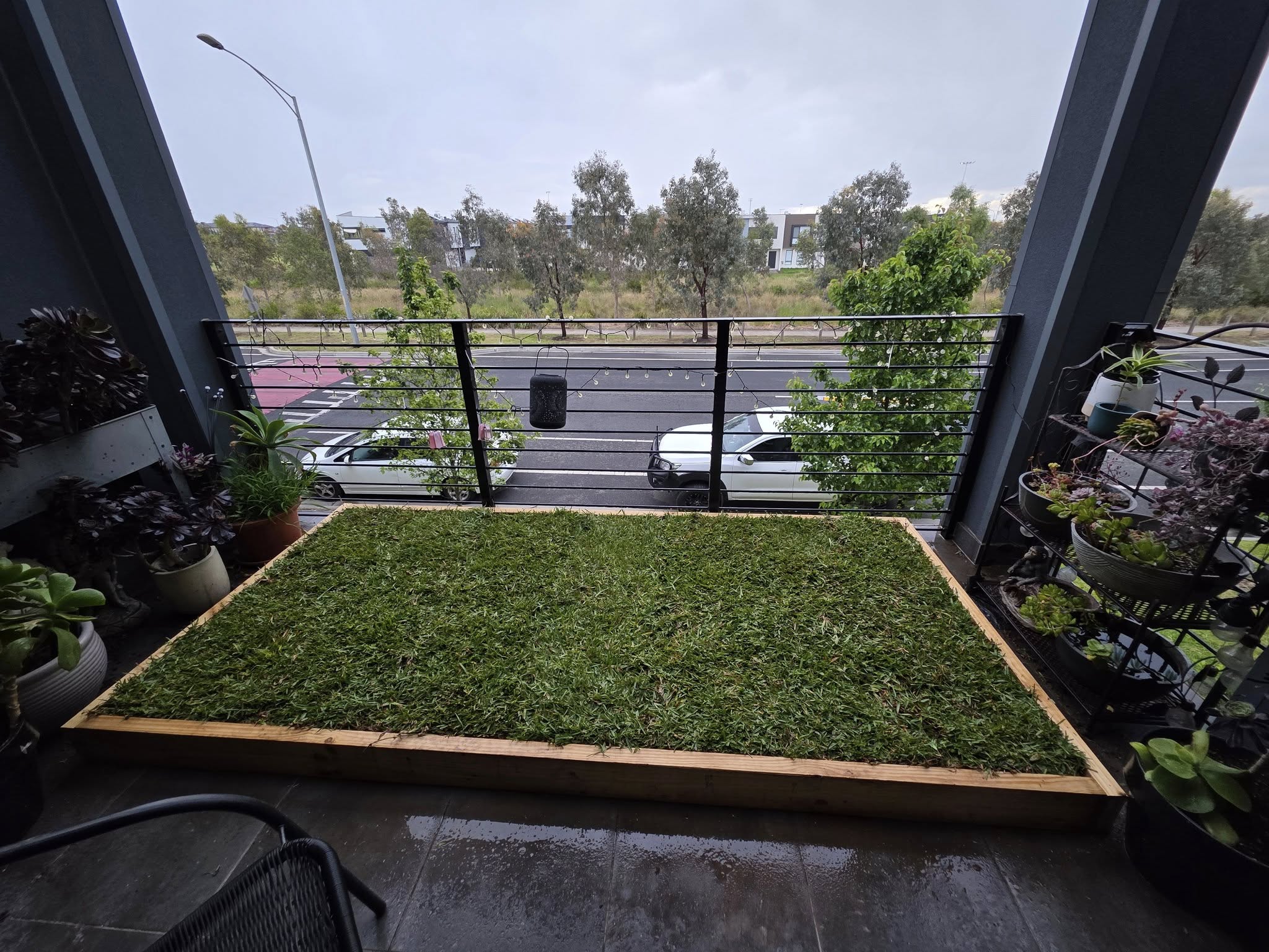 Freshly laid turf framed by timber edging
